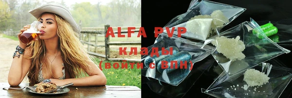 гашик Абаза