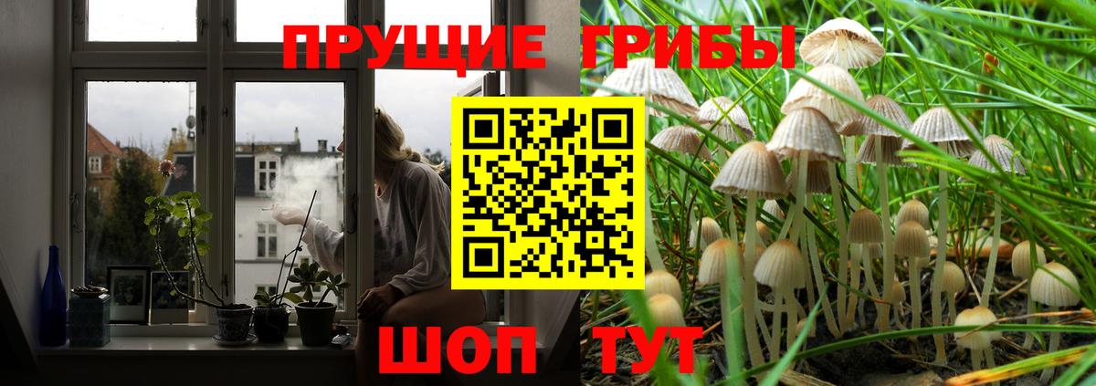 что такое   Вход с VPN  Хабаровск  Галлюциногенные грибы мухоморы 